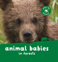 Animal Babies in Forests - Board Book