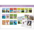 Phonic Books Dandelion World Stages 8-15 (Words with Four Sounds CVCC) - Paperback