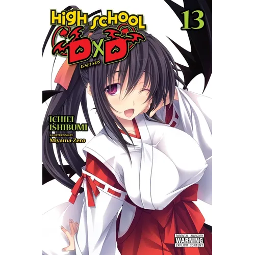 High School DXD, Vol. 13 (Light Novel): Volume 13 - Paperback