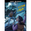 Storm on the Sea - Paperback
