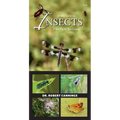 A Field Guide to Insects of the Pacific Northwest - Paperback