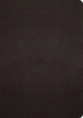 ESV Study Bible (Buffalo Leather, Deep Brown) - Leather