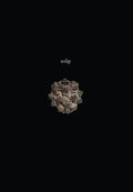 Solip - Paperback
