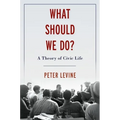 What Should We Do?: A Theory of Civic Life - Hardcover