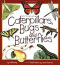 Caterpillars, Bugs and Butterflies - Paperback