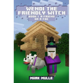 Wendi the Friendly Witch Diaries Book 1: A Friend or a Foe? - Paperback
