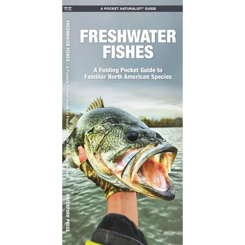 Freshwater Fishes: An Introduction to Familiar North American Species