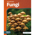 Fungi - Library Binding