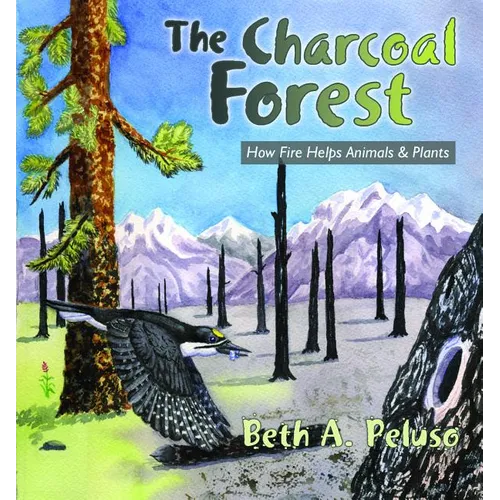 The Charcoal Forest: How Fire Helps Animals and Plants - Paperback