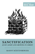 Sanctification as Set Apart and Growing in Christ - Paperback