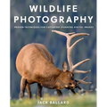 Wildlife Photography: Proven Techniques for Capturing Stunning Digital Images - Paperback