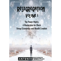 Re-Segregation: Volume I: The Power Matrix. A Masterplan for Black Group Economics and Wealth Creation - Hardcover