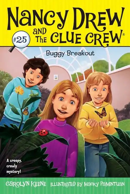 Buggy Breakout - Paperback