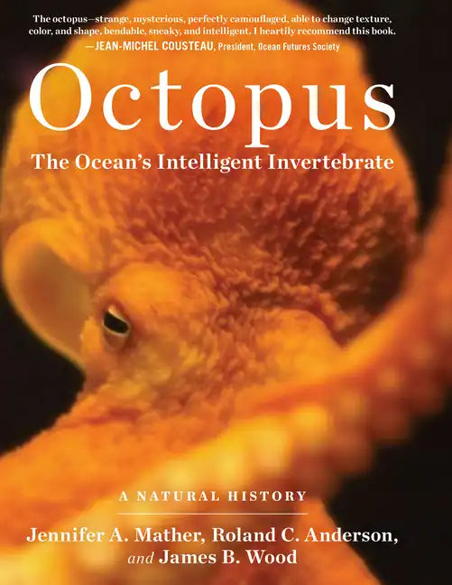 Octopus: The Ocean's Intelligent Invertebrate - Hardcover