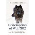 The Redemption of Wolf 302: From Renegade to Yellowstone Alpha Male - Paperback