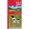 Italy Birds: A Folding Pocket Guide to Familiar Species - Paperback