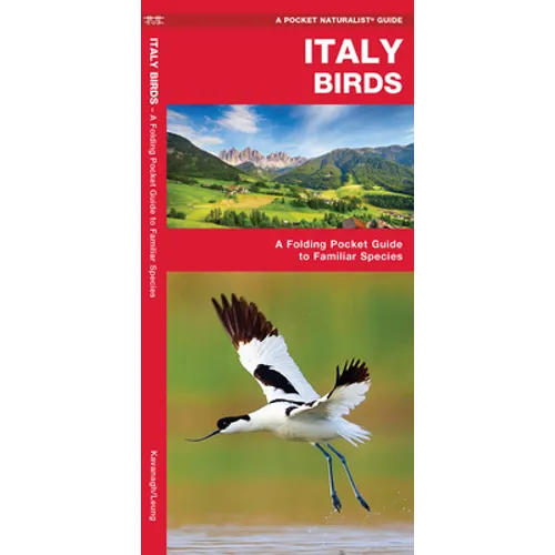 Italy Birds: A Folding Pocket Guide to Familiar Species - Paperback