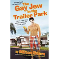 The Gay Jew in the Trailer Park - Paperback