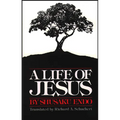 A Life of Jesus - Paperback
