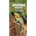 Arizona Wildlife: A Folding Pocket Guide to Familiar Animals