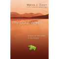 My Soul Waits: Solace for the Lonely in the Psalms - Paperback