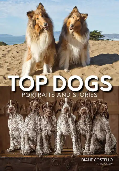 Top Dogs: Portraits and Stories - Paperback