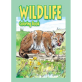 Wildlife Coloring Book - Paperback