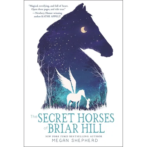 The Secret Horses of Briar Hill - Paperback