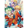 Dr. Stone, Vol. 17 - Paperback