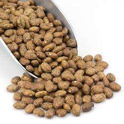 Pinto Beans
