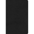 CSB Everyday Study Bible, Black Bonded Leather - Leather