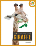 Giraffe - Paperback