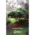 Grace - Paperback