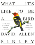 What It's Like to Be a Bird: From Flying to Nesting, Eating to Singing--What Birds Are Doing, and Why - Hardcover