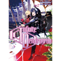 Infinite Dendrogram: Volume 3 (Light Novel) - Paperback