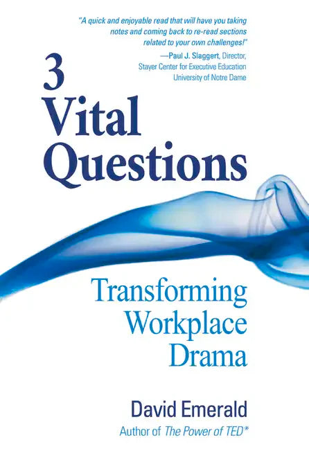 3 Vital Questions: Transforming Workplace Drama - Paperback