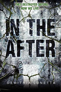 In the After - Paperback