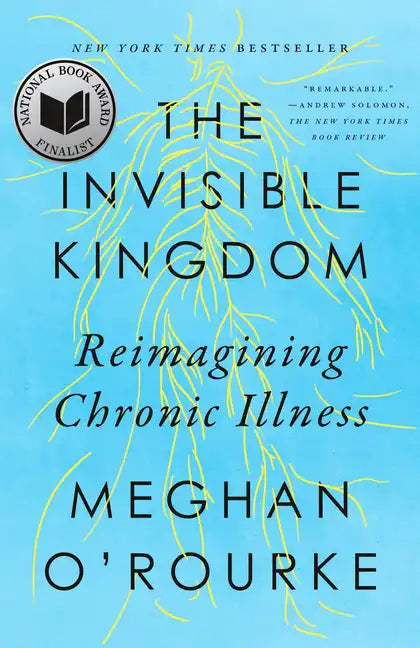 The Invisible Kingdom: Reimagining Chronic Illness - Paperback