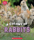 A Colony of Rabbits (Learn About: Animals) - Paperback