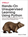 Hands-On Unsupervised Learning Using Python: How to Build Applied Machine Learning Solutions from Unlabeled Data - Paperback