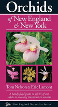 Orchids of New England & New York - Paperback