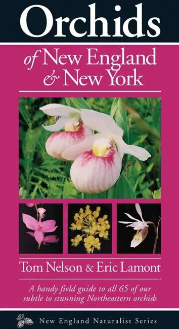Orchids of New England & New York - Paperback