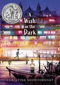 A Wish in the Dark - Hardcover
