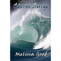 Storm Surge - Paperback