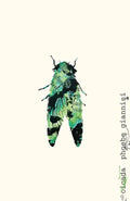 Cicada - Paperback