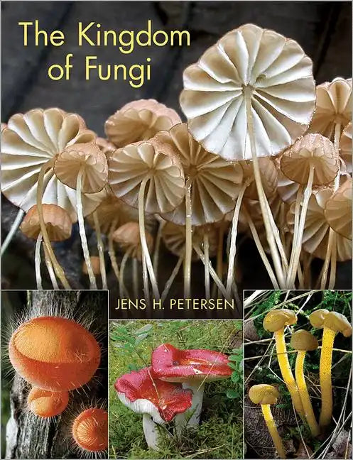 The Kingdom of Fungi - Hardcover