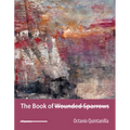 The Book of Wounded Sparrows: Poems Volume 2 - Paperback