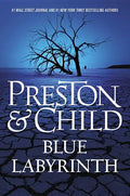 Blue Labyrinth - Hardcover