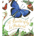A Butterfly Is Patient - Hardcover