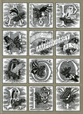 Amphigorey Also - Paperback